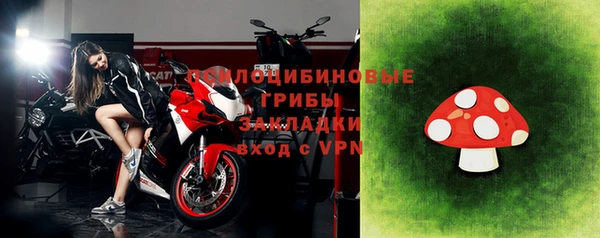 спайс Алексин