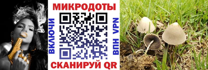 Псилоцибиновые грибы Psilocybine cubensis  Орёл 